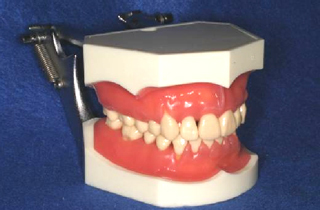 support-p99-001.jpg
