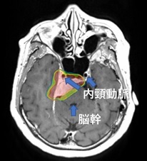 radiologyc_pic01.jpg
