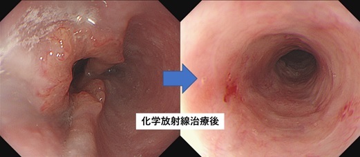 radiologyc_pic08.jpg