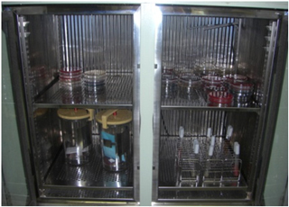 support-p39-003.jpg
